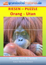 Riesenpuzzle_Orang-Utan.pdf
